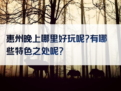 惠州晚上哪里好玩呢？有哪些特色之处呢？