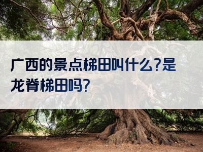 广西的景点梯田叫什么？是龙脊梯田吗？