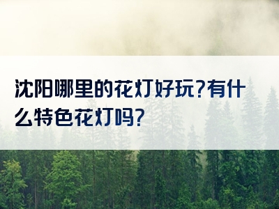 沈阳哪里的花灯好玩？有什么特色花灯吗？