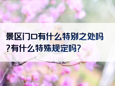 景区门口有什么特别之处吗？有什么特殊规定吗？