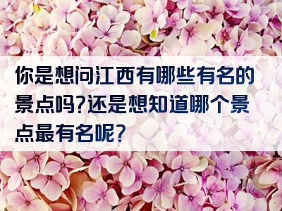 你是想问江西有哪些有名的景点吗？还是想知道哪个景点最有名呢？