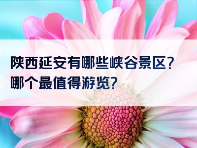 陕西延安有哪些峡谷景区？哪个最值得游览？