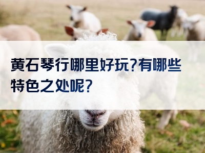黄石琴行哪里好玩？有哪些特色之处呢？