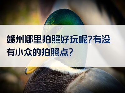 赣州哪里拍照好玩呢？有没有小众的拍照点？