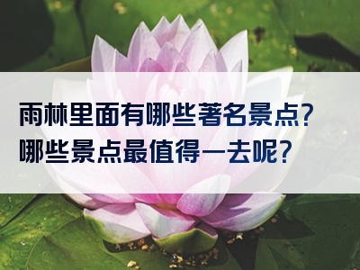 雨林里面有哪些著名景点？哪些景点最值得一去呢？
