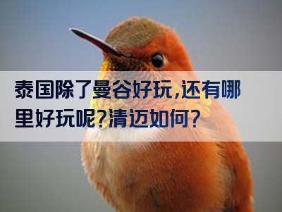 泰国除了曼谷好玩，还有哪里好玩呢？清迈如何？