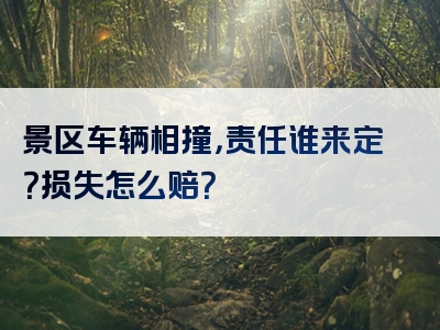 景区车辆相撞，责任谁来定？损失怎么赔？