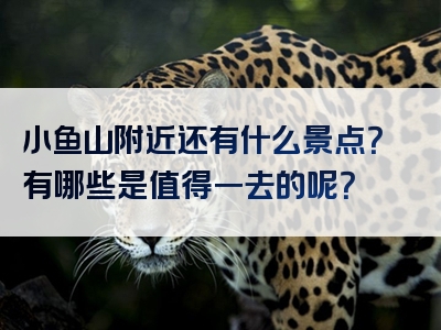 小鱼山附近还有什么景点？有哪些是值得一去的呢？