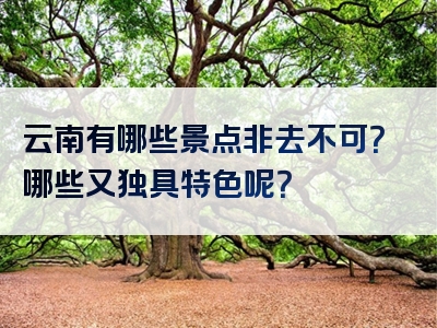 云南有哪些景点非去不可？哪些又独具特色呢？