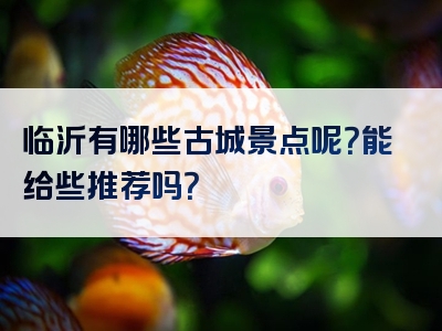 临沂有哪些古城景点呢？能给些推荐吗？