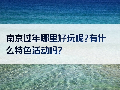 南京过年哪里好玩呢？有什么特色活动吗？