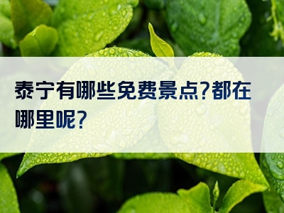 泰宁有哪些免费景点？都在哪里呢？