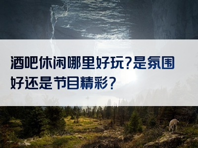 酒吧休闲哪里好玩？是氛围好还是节目精彩？