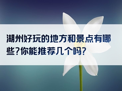 湖州好玩的地方和景点有哪些？你能推荐几个吗？