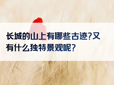 长城的山上有哪些古迹？又有什么独特景观呢？