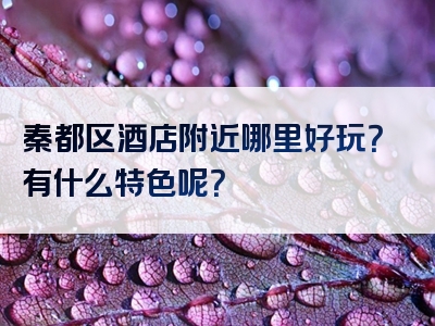 秦都区酒店附近哪里好玩？有什么特色呢？