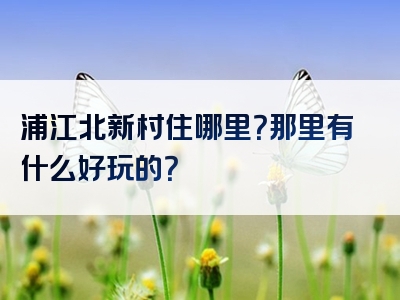 浦江北新村住哪里？那里有什么好玩的？