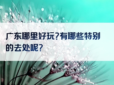 广东哪里好玩？有哪些特别的去处呢？