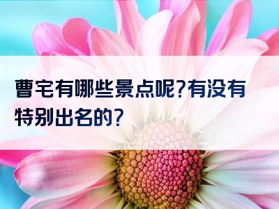 曹宅有哪些景点呢？有没有特别出名的？