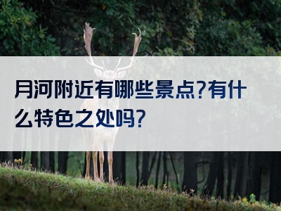 月河附近有哪些景点？有什么特色之处吗？