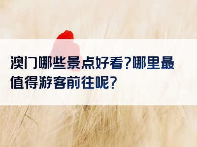 澳门哪些景点好看？哪里最值得游客前往呢？