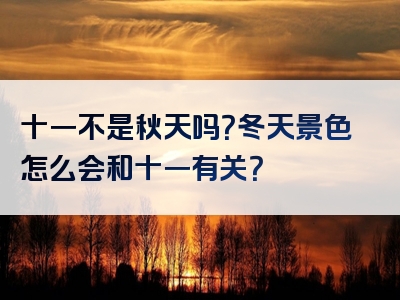 十一不是秋天吗？冬天景色怎么会和十一有关？