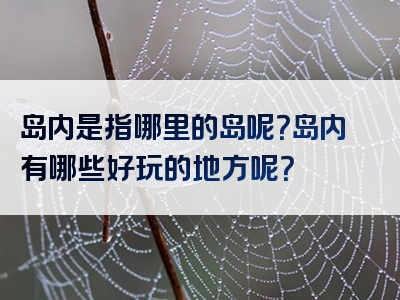 岛内是指哪里的岛呢？岛内有哪些好玩的地方呢？