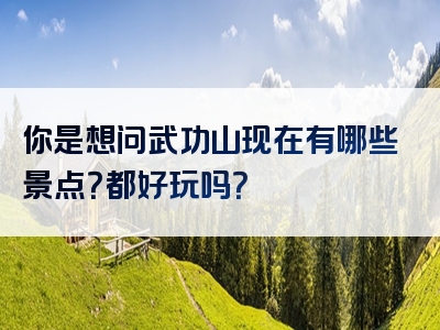 你是想问武功山现在有哪些景点？都好玩吗？