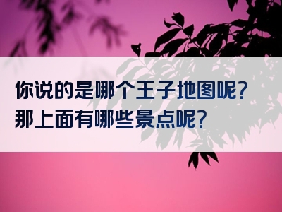 你说的是哪个王子地图呢？那上面有哪些景点呢？