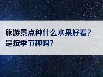 旅游景点种什么水果好看？是按季节种吗？
