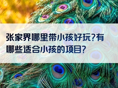 张家界哪里带小孩好玩？有哪些适合小孩的项目？