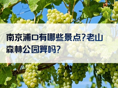 南京浦口有哪些景点？老山森林公园算吗？