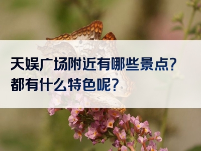 天娱广场附近有哪些景点？都有什么特色呢？