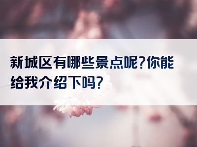 新城区有哪些景点呢？你能给我介绍下吗？