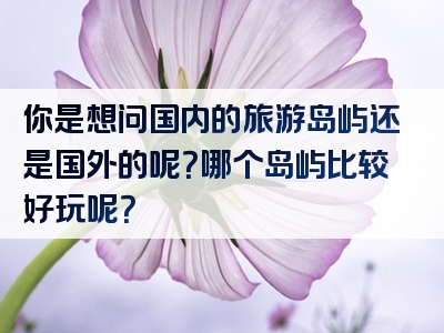 你是想问国内的旅游岛屿还是国外的呢？哪个岛屿比较好玩呢？