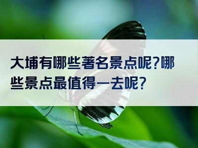 大埔有哪些著名景点呢？哪些景点最值得一去呢？