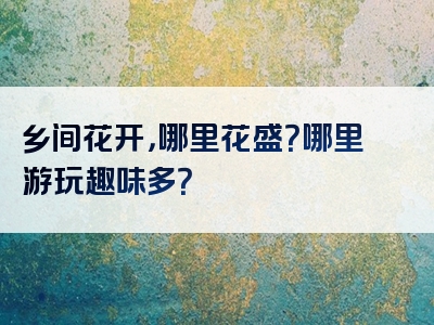 乡间花开，哪里花盛？哪里游玩趣味多？