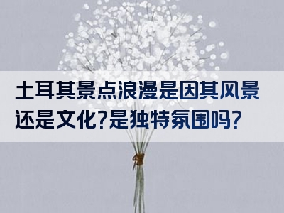 土耳其景点浪漫是因其风景还是文化？是独特氛围吗？