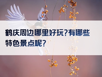 鹤庆周边哪里好玩？有哪些特色景点呢？