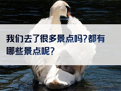 我们去了很多景点吗？都有哪些景点呢？