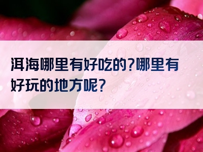 洱海哪里有好吃的？哪里有好玩的地方呢？