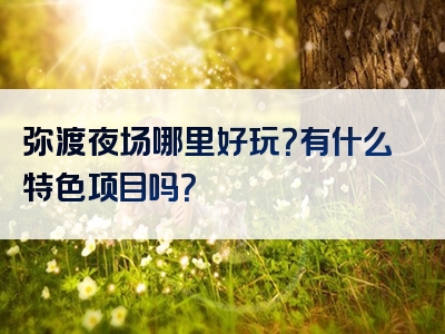 弥渡夜场哪里好玩？有什么特色项目吗？