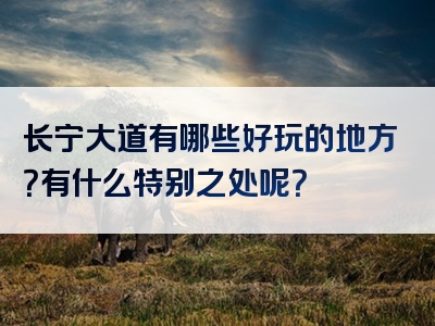 长宁大道有哪些好玩的地方？有什么特别之处呢？