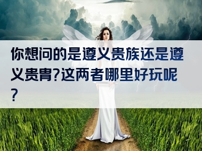 你想问的是遵义贵族还是遵义贵胄？这两者哪里好玩呢？