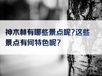 神木林有哪些景点呢？这些景点有何特色呢？