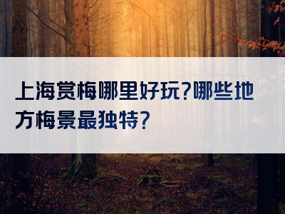 上海赏梅哪里好玩？哪些地方梅景最独特？