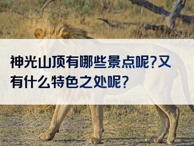 神光山顶有哪些景点呢？又有什么特色之处呢？