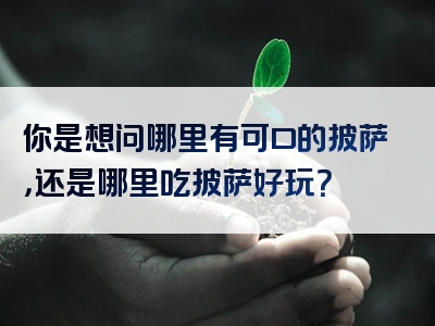 你是想问哪里有可口的披萨，还是哪里吃披萨好玩？