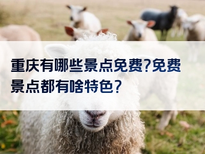 重庆有哪些景点免费？免费景点都有啥特色？