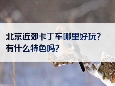 北京近郊卡丁车哪里好玩？有什么特色吗？